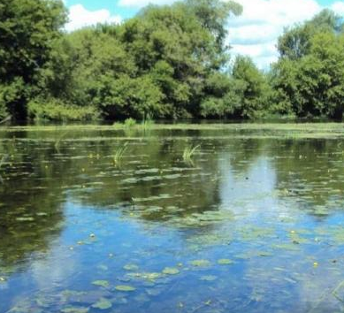 Сплав и рыбалка на р. Красивая Меча от Заречье до Троекурово (длина 121 км) - фото