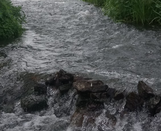 Сплав и рыбалка на р. Красивая Меча от Заречье до Троекурово (длина 121 км) - фото