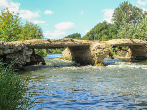 Сплав и рыбалка на р. Красивая Меча от Заречье до Троекурово (длина 121 км) - фото