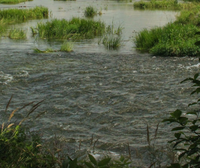 Сплав и рыбалка на р. Красивая Меча от Заречье до Троекурово (длина 121 км) - фото