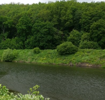 Сплав и рыбалка на р. Красивая Меча от Заречье до Троекурово (длина 121 км) - фото