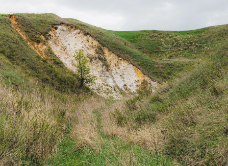 Сплав и рыбалка на р. Красивая Меча от Заречье до Троекурово (длина 121 км) - фото