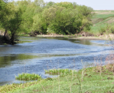 Сплав и рыбалка на р. Красивая Меча от Заречье до Троекурово (длина 121 км) - фото