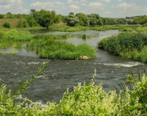 Сплав и рыбалка на р. Красивая Меча от Заречье до Троекурово (длина 121 км) - фото
