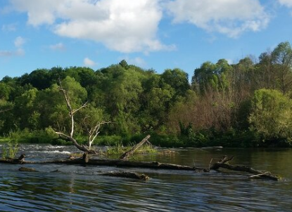 Сплав и рыбалка на р. Красивая Меча от Заречье до Троекурово (длина 121 км) - фото