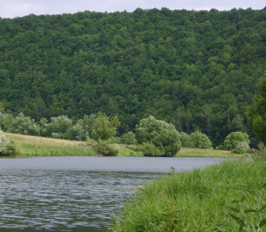 Сплав и рыбалка на р. Красивая Меча от Заречье до Троекурово (длина 121 км) - фото