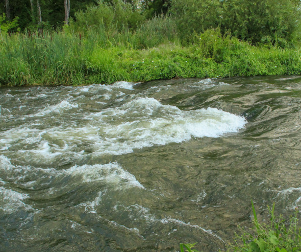 Сплав и рыбалка на р. Красивая Меча от Заречье до Троекурово (длина 121 км) - фото