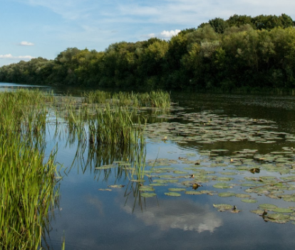 Сплав и рыбалка на р. Красивая Меча от Заречье до Троекурово (длина 121 км) - фото