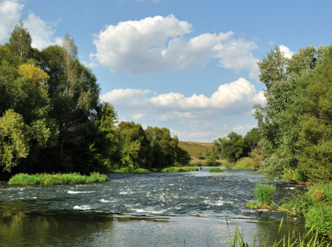 Сплав и рыбалка на р. Красивая Меча от Заречье до Троекурово (длина 121 км) - фото
