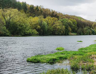 Сплав и рыбалка на р. Красивая Меча от Заречье до Троекурово (длина 121 км) - фото