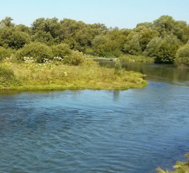 Сплав и рыбалка на р. Красивая Меча от Заречье до Троекурово (длина 121 км) - фото