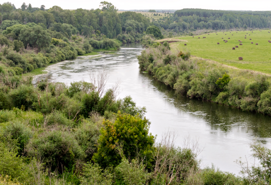 Сплав и рыбалка на р. Немда от д. Иваньково до д. Хороброво (длина 87 км) - фото