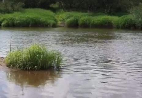 Сплав и рыбалка на р. Немда от д. Иваньково до д. Хороброво (длина 87 км) - фото