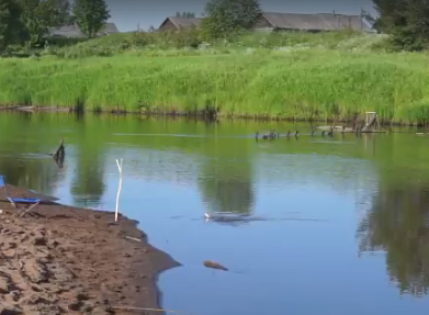 Сплав и рыбалка на р. Немда от д. Иваньково до д. Хороброво (длина 87 км) - фото