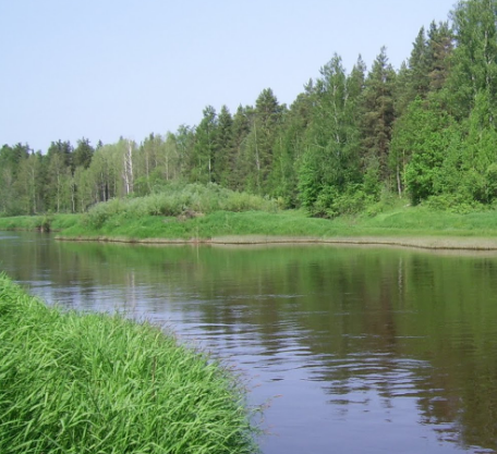 Сплав и рыбалка на р. Немда от д. Иваньково до д. Хороброво (длина 87 км) - фото