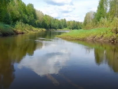 Сплав и рыбалка на р. Кострома от г. Буй до п. Прибрежный (длина 136 км) - фото