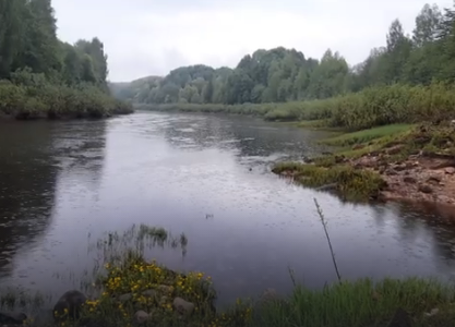 Сплав и рыбалка на р. Кострома от г. Буй до п. Прибрежный (длина 136 км) - фото