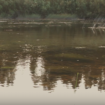 Сплав и рыбалка на р. Кострома от г. Буй до п. Прибрежный (длина 136 км) - фото