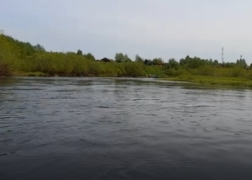 Сплав и рыбалка на р. Кострома от г. Буй до п. Прибрежный (длина 136 км) - фото