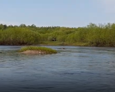 Сплав и рыбалка на р. Кострома от г. Буй до п. Прибрежный (длина 136 км) - фото