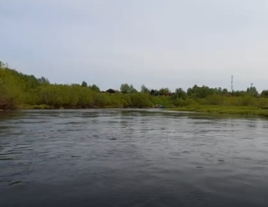 Сплав и рыбалка на р. Кострома от г. Буй до п. Прибрежный (длина 136 км) - фото