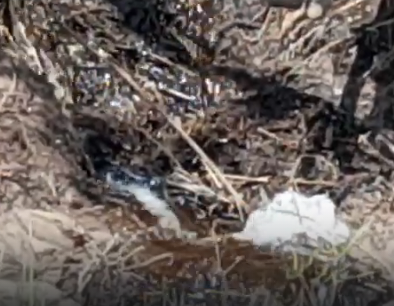 Сплав и рыбалка на р. Кострома от г. Буй до п. Прибрежный (длина 136 км) - фото