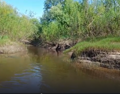 Сплав и рыбалка на р. Кострома от г. Буй до п. Прибрежный (длина 136 км) - фото