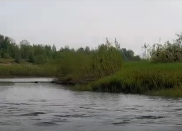 Сплав и рыбалка на р. Кострома от г. Буй до п. Прибрежный (длина 136 км) - фото