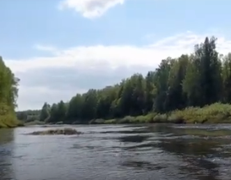 Сплав и рыбалка на р. Кострома от г. Буй до п. Прибрежный (длина 136 км) - фото