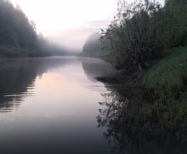 Сплав и рыбалка на р. Кострома от г. Буй до п. Прибрежный (длина 136 км) - фото