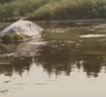 Сплав и рыбалка на р. Кострома от г. Буй до п. Прибрежный (длина 136 км) - фото