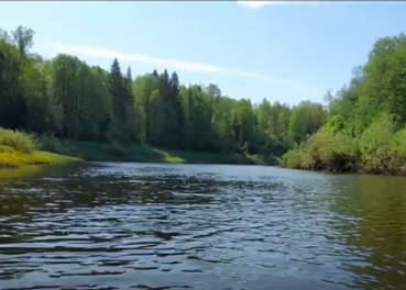 Сплав и рыбалка на р. Кострома от г. Буй до п. Прибрежный (длина 136 км) - фото