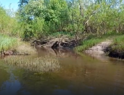 Сплав и рыбалка на р. Кострома от г. Буй до п. Прибрежный (длина 136 км) - фото