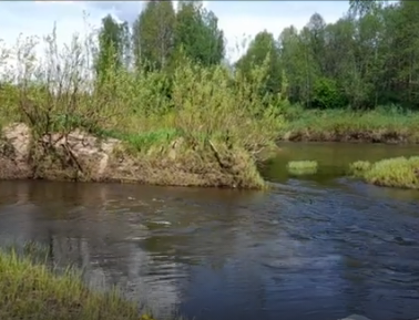 Сплав и рыбалка на р. Кострома от г. Буй до п. Прибрежный (длина 136 км) - фото