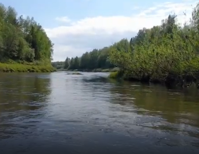 Сплав и рыбалка на р. Кострома от г. Буй до п. Прибрежный (длина 136 км) - фото