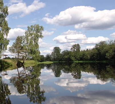 Сплав и рыбалка на р. Кобожа от п. Кабожа до г. Устюжна (длина 149 км) - фото