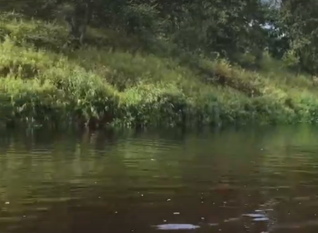 Сплав и рыбалка на р. Кобожа от п. Кабожа до г. Устюжна (длина 149 км) - фото