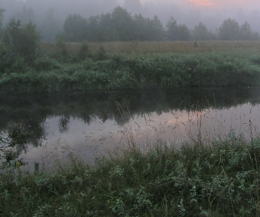 Сплав и рыбалка на р. Кобожа от п. Кабожа до г. Устюжна (длина 149 км) - фото