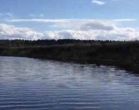 Сплав и рыбалка на р. Кобожа от п. Кабожа до г. Устюжна (длина 149 км) - фото