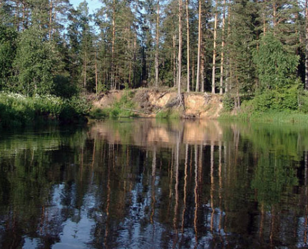 Сплав и рыбалка на р. Кобожа от п. Кабожа до г. Устюжна (длина 149 км) - фото