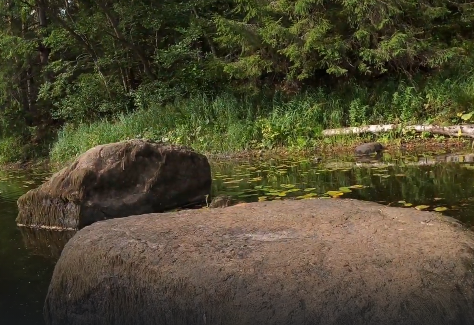 Сплав и рыбалка на р. Кобожа от п. Кабожа до г. Устюжна (длина 149 км) - фото