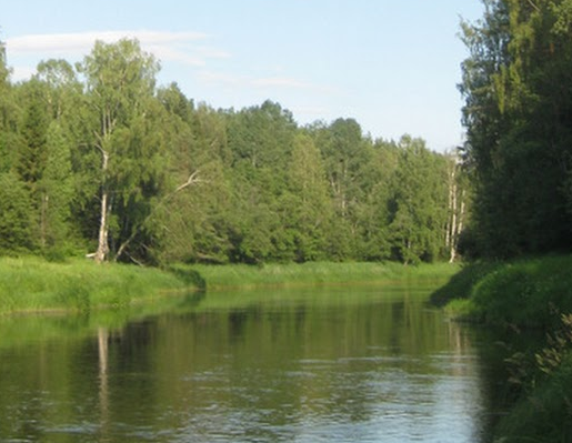 Сплав и рыбалка на р. Кобожа от п. Кабожа до г. Устюжна (длина 149 км) - фото