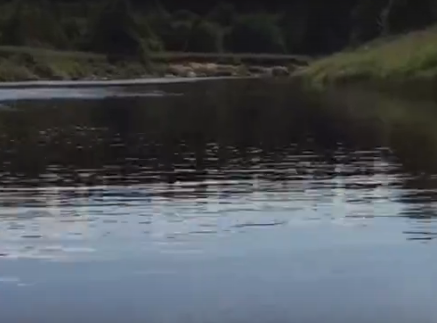 Сплав и рыбалка на р. Кобожа от п. Кабожа до г. Устюжна (длина 149 км) - фото