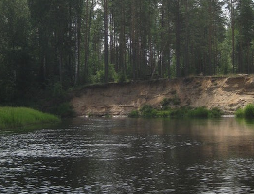 Сплав и рыбалка на р. Кобожа от п. Кабожа до г. Устюжна (длина 149 км) - фото