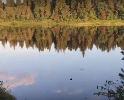 Сплав и рыбалка на р. Кобожа от п. Кабожа до г. Устюжна (длина 149 км) - фото