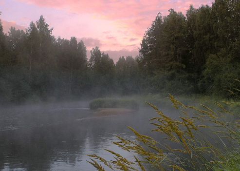 Сплав и рыбалка на р. Кобожа от п. Кабожа до г. Устюжна (длина 149 км) - фото