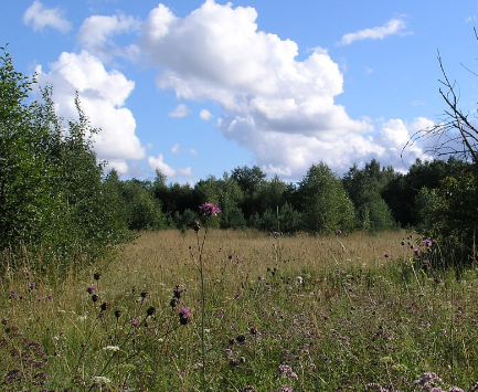 Сплав и рыбалка на р. Кобожа от п. Кабожа до г. Устюжна (длина 149 км) - фото