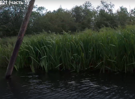 Сплав и рыбалка на р. Кобожа от п. Кабожа до г. Устюжна (длина 149 км) - фото