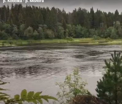 Сплав и рыбалка на р. Кобожа от п. Кабожа до г. Устюжна (длина 149 км) - фото