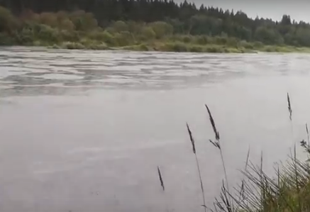 Сплав и рыбалка на р. Кобожа от п. Кабожа до г. Устюжна (длина 149 км) - фото